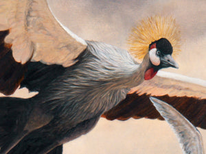 The Dream of Icarus - Limited edition print