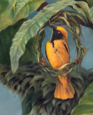 Love's Labours Lost *