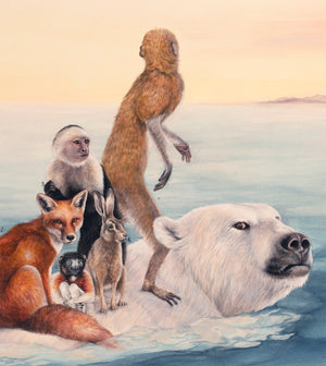 Indifferent Shores *