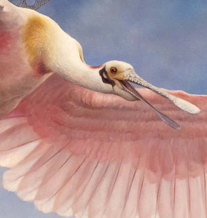 Skylarks - Limited edition print