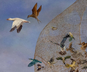 Skylarks - Limited edition print