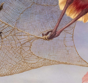 Skylarks - Limited edition print