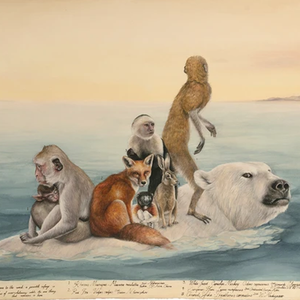 Indifferent Shores *