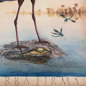 Terra Firma