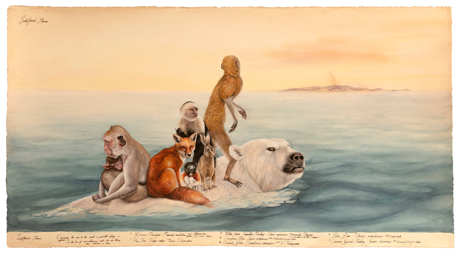 Indifferent Shores - Limited edition print