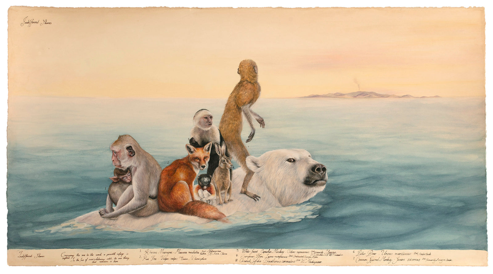 Indifferent Shores *