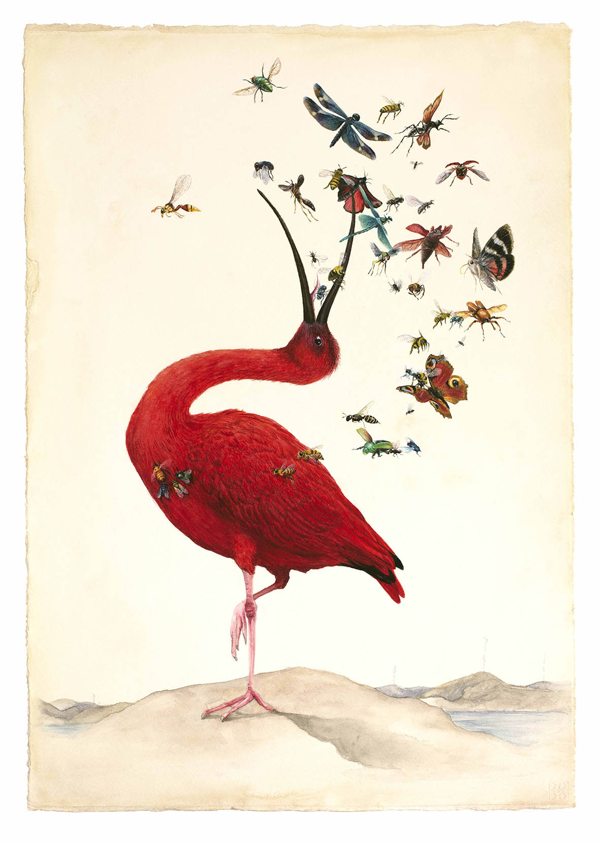 On Stranger Shores - Limited edition print